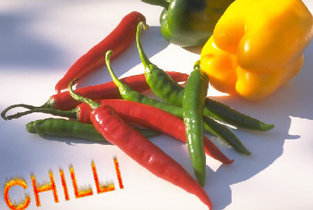 forside.jpg (26949 bytes)